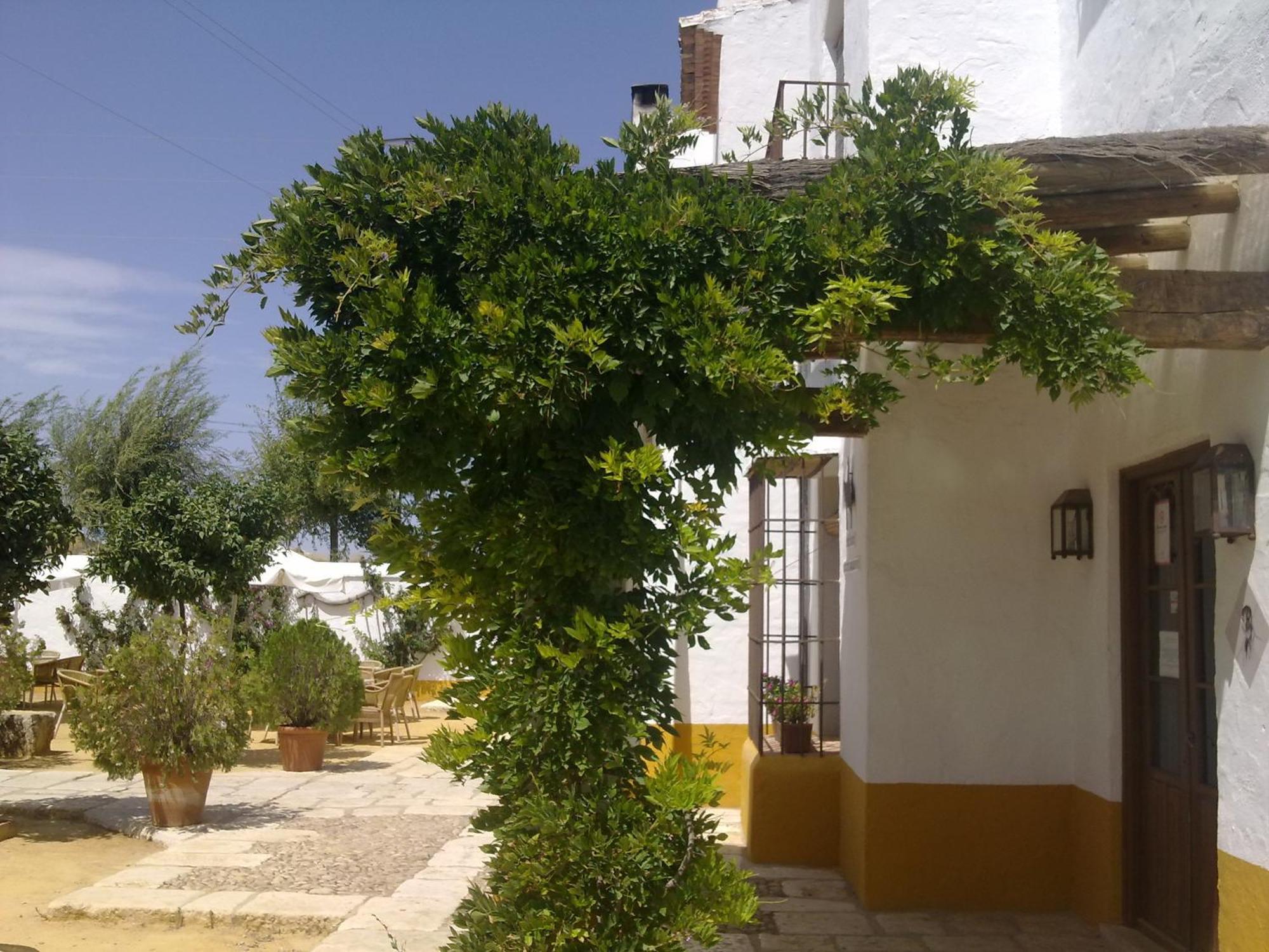Posada De Jose Mª El Tempranillo Alameda المظهر الخارجي الصورة